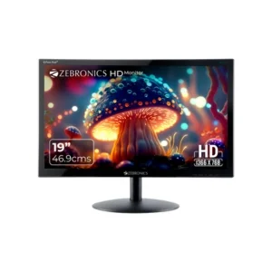 Zebronics V19